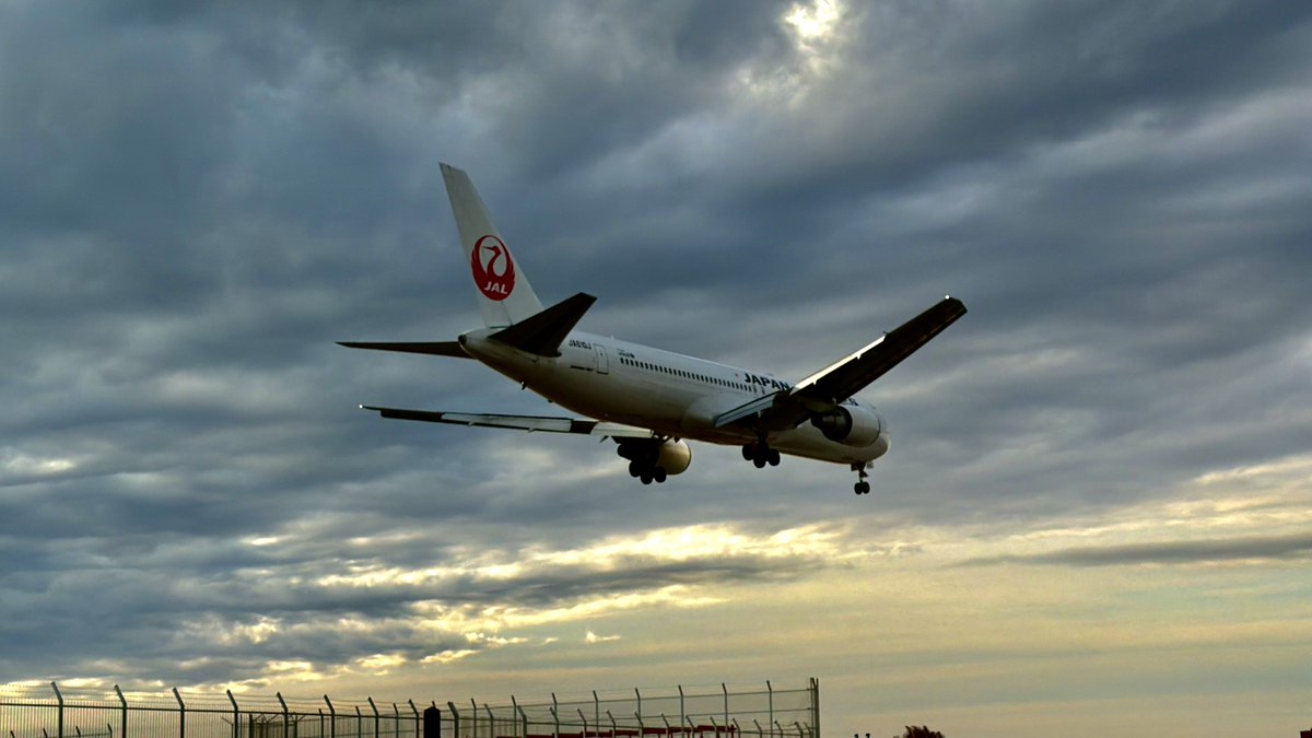 TETSUTW's tweet photo. 今日は、はとバスの「ＪＡＬグループ×はとバスコラボ企画 羽田空港ベストビュードライブ特別編 ＪＡＬ ＳＫＹ ＭＵＳＥＵＭ見学とＪＡＬ国際線ビジネスクラス機内食ランチ」コースに参加。
ほぼ満員の大盛況！
JALコーポレートシェフの堀内氏の解説を聞きながら、ランチとして国際線ビジネスクラスの絶品機内食を（地上で）いただきました。
それから、制限区域内を二階建てバスで回り、1箇所では降車して、大迫力の着陸機を至近距離で眺めました。大谷翔平ラッピング機も！
また、今日フランスから到着したエアバスA350‑900の18号機《JA18XJ》も至近距離で見る事ができ感激しました。
バスでは隣の席の方とも終始話が弾み濃い一日でしたー！