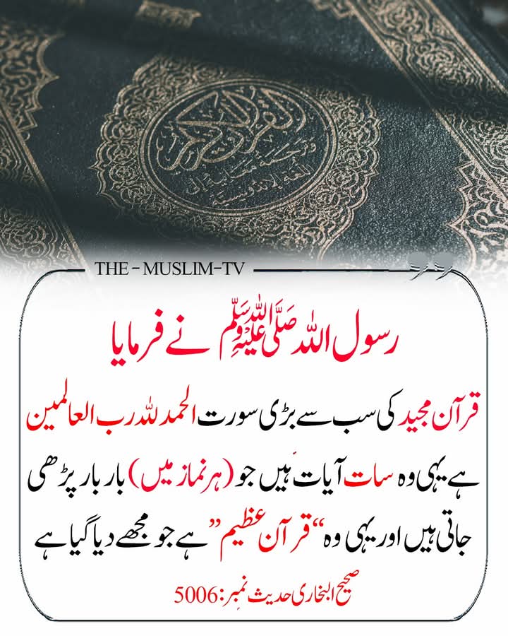 mahwishzafar7's tweet photo. نبی کریم ﷺ نے فرمایا 🌿🍂♥️ https://t.co/m43mmJg2GT