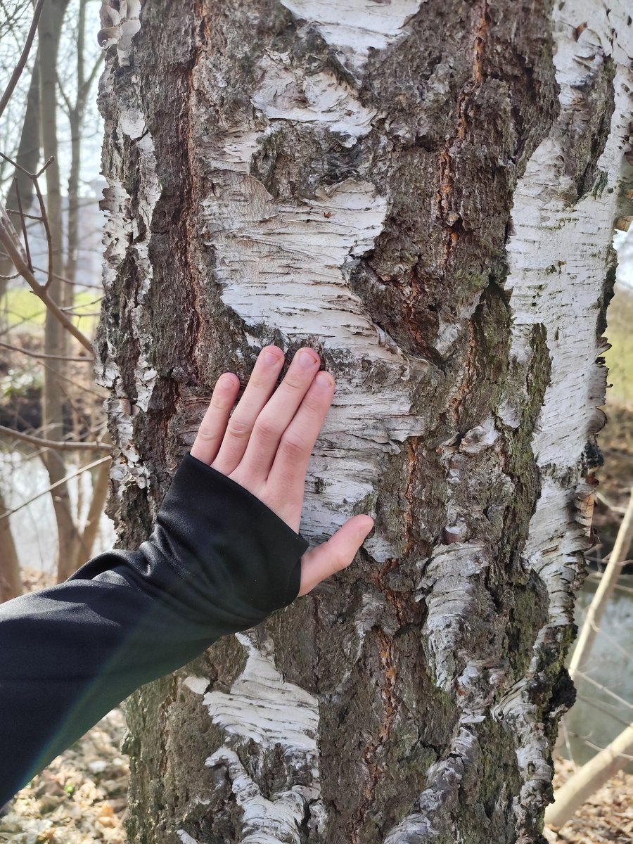 rollgruen's tweet photo. #TouchTree with my Son today, beautyful weatherππ±π
Follow @treegens for full Engagement, once you tree it you can untree it ππ±π
Have a nice one
$TGN https://t.co/r5QjNzlDWu