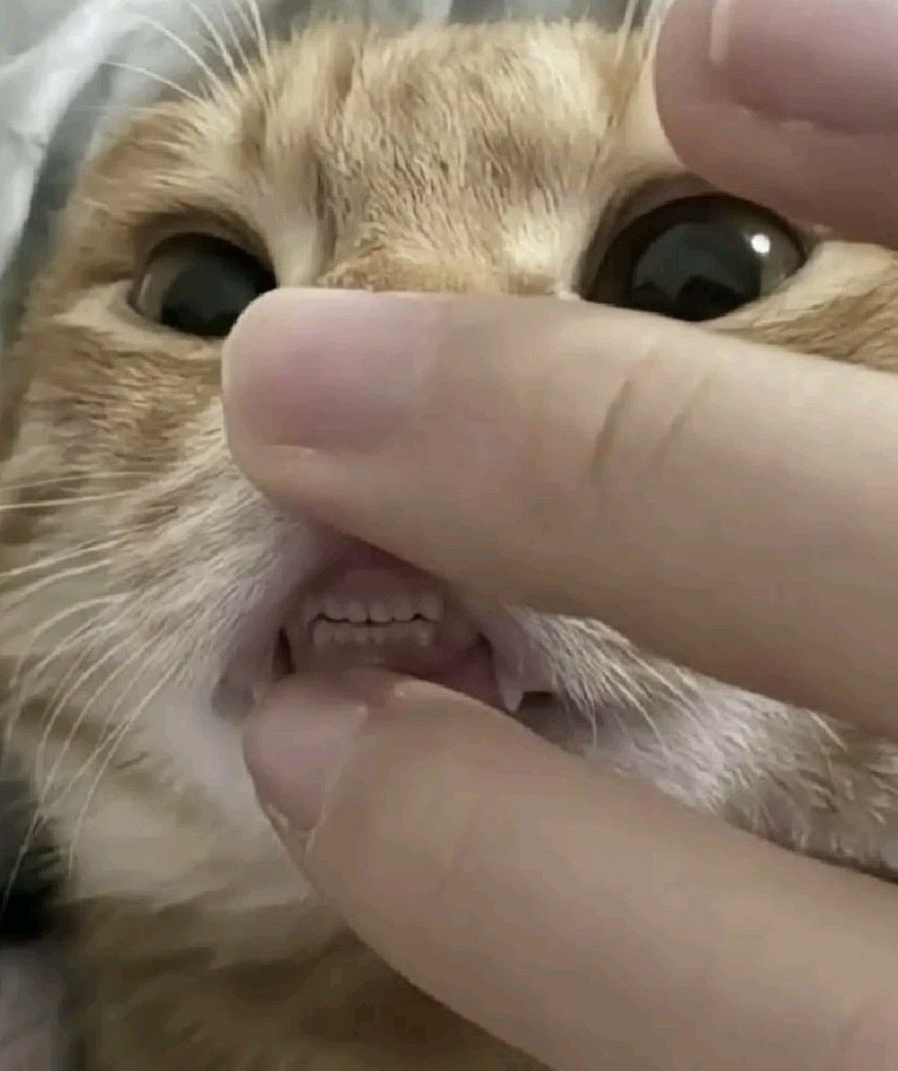 อุนหมอขอดูฟันโหน่ย