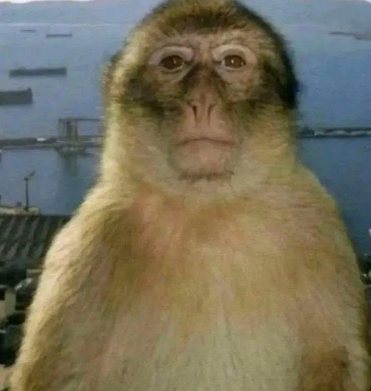 capitaododoi's tweet photo. ai vou morrer que perguntaram pra Jerônimo se tem prédio de espionagem chinesa no Pelourinho e ele disse "não é nesse não" 

COMO ASSIM NÃO É NESSE JERÔNIMO https://t.co/wXim7X6Wn0