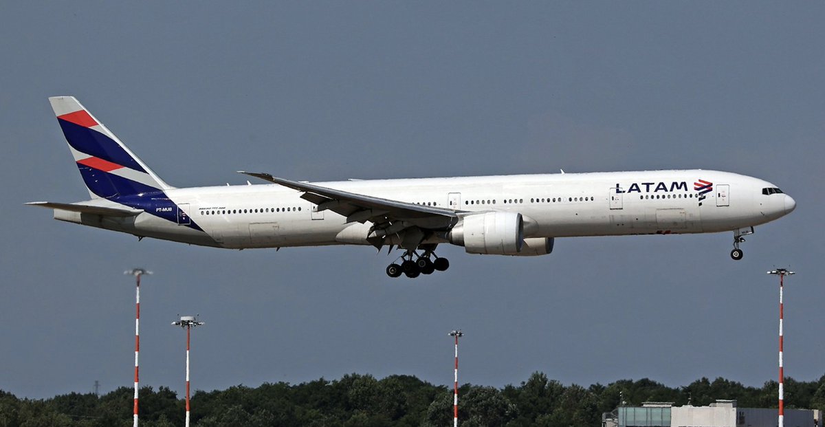 José Correia Guedes tweet media