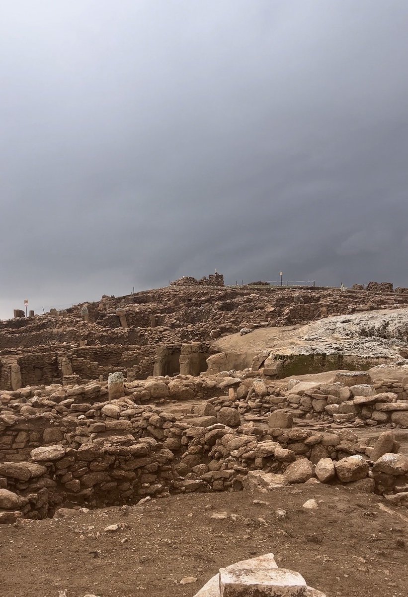 Mehmet TATLI tweet media