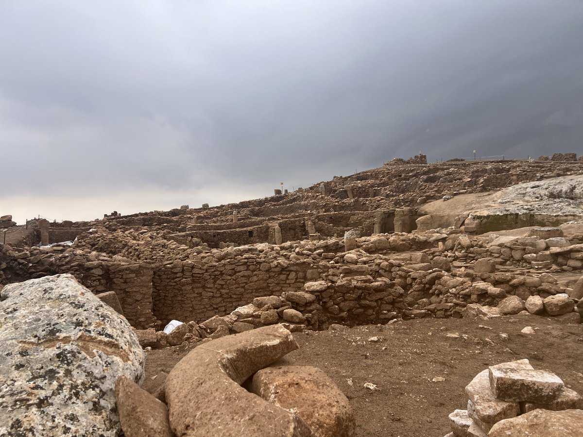 Mehmet TATLI tweet media