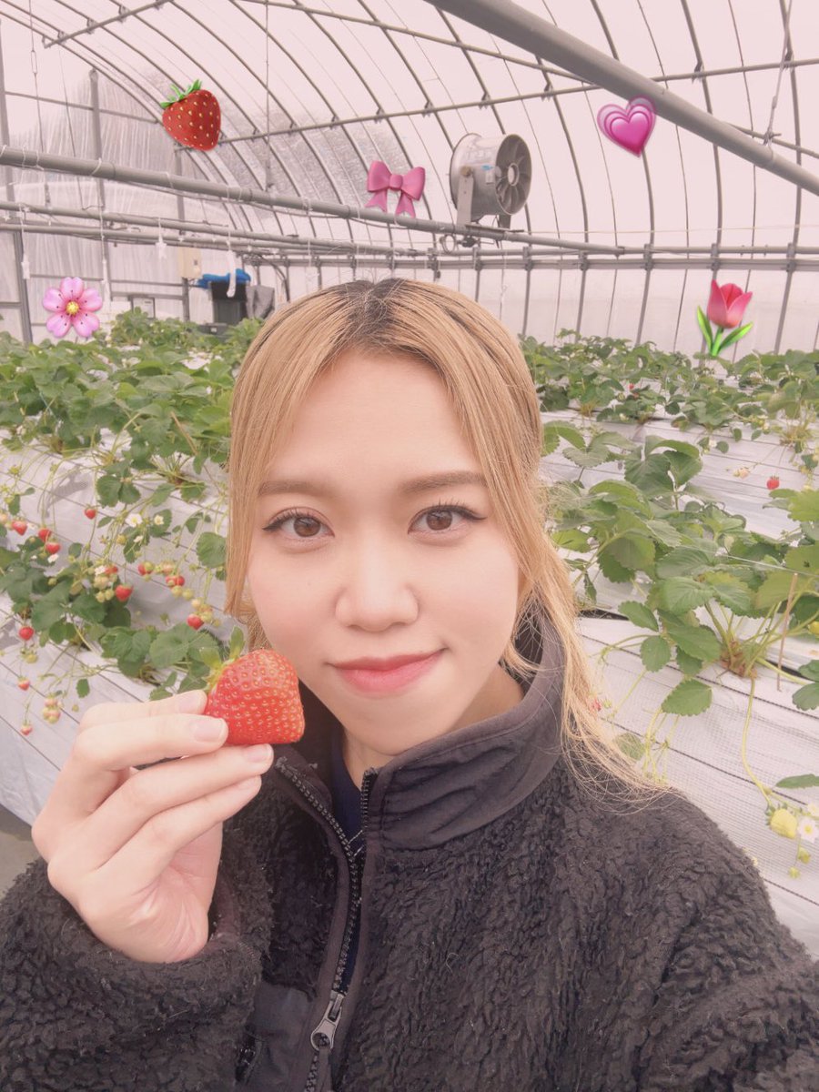 ran_performer's tweet photo. いちご狩りに行ってきました🍓💗 https://t.co/V56N5hKV7B