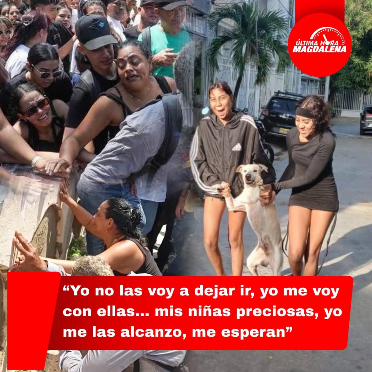 NormaVeraSa's tweet photo. Dos hermanas de 14 y 17 años desaparecen, las extorsionan y luego aparecen enterradas.
Pienso en el dolor de su madre y en algo más duro: ¿en qué momento Colombia se acostumbró a esto?
Sheridan Sofía y Keyla Nicolle merecen justicia. 😭 https://t.co/2lCLMT8KeC