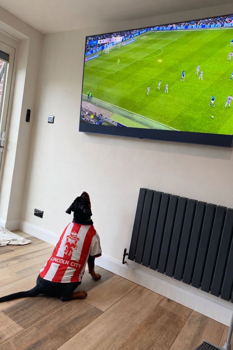 Nathan Decastro tweet media