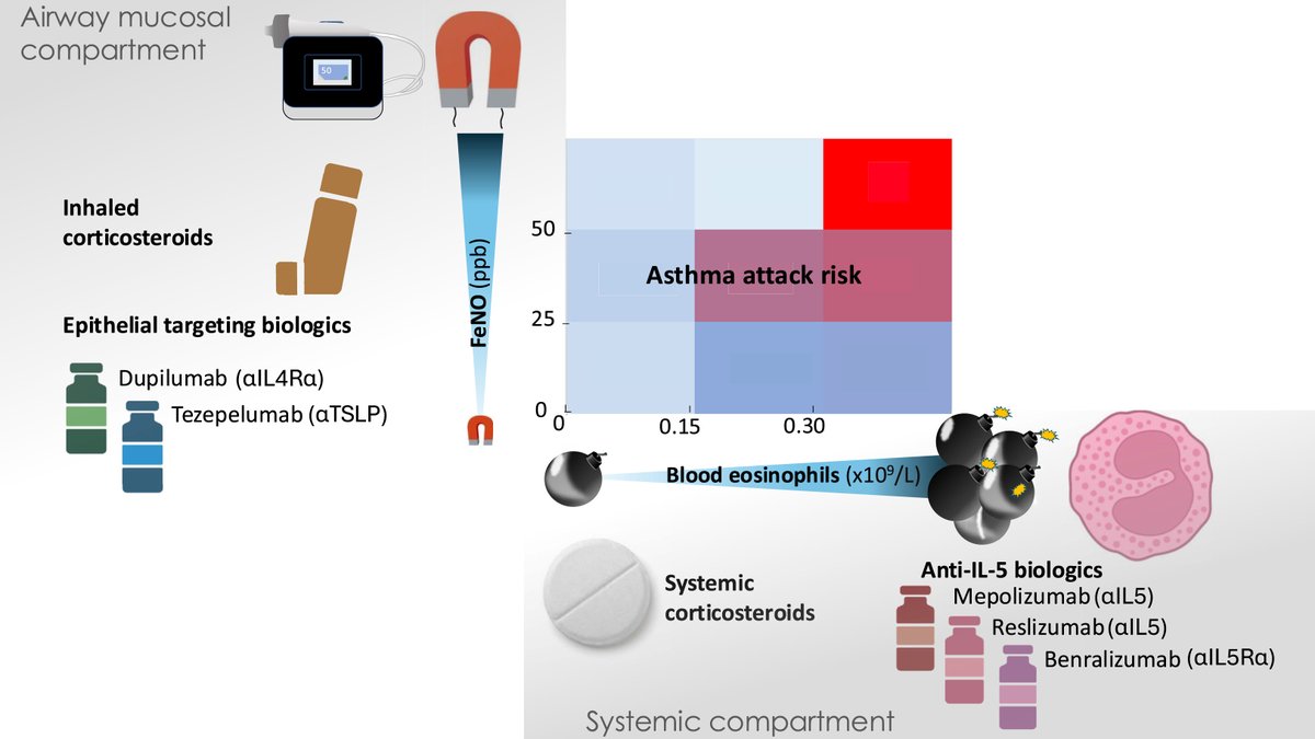 Interasma's tweet photo. #Treatable #traits and #treatment #options in #asthma: in the era of #personalised #medicine, approaches to asthma #assessment and #management have shifted significantly. Open Access. https://t.co/bgg6yieuGD https://t.co/DrZFS0JCja