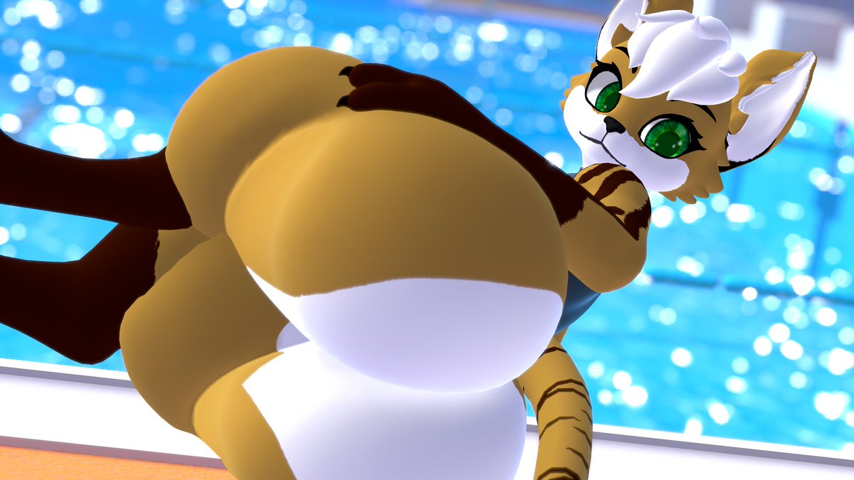 CassoKayopia AD tweet media