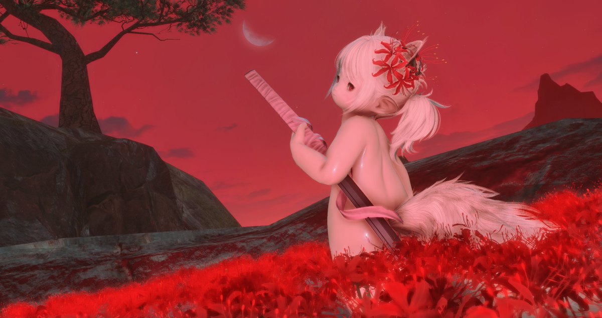 💥シオ二番機💥 tweet media