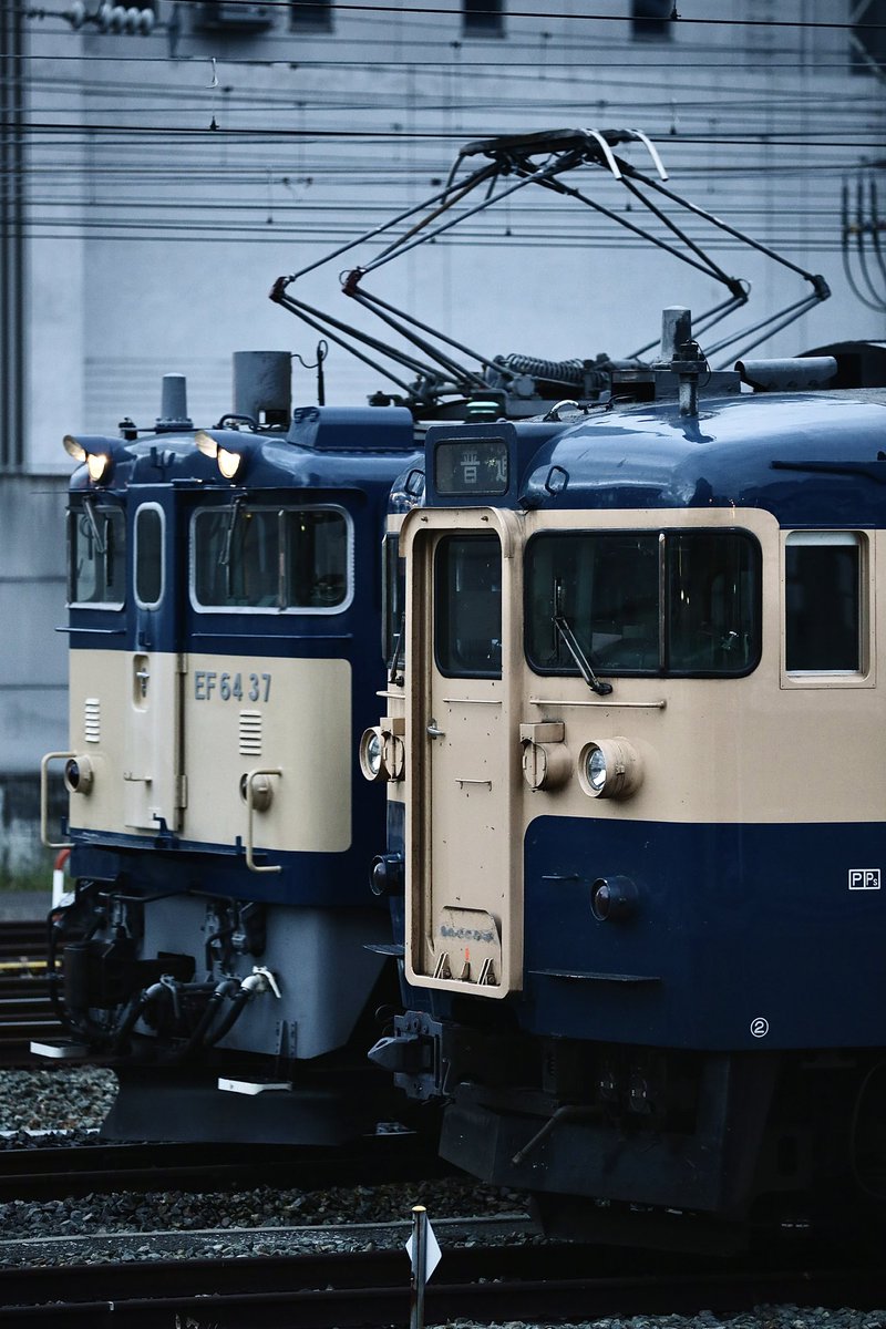 #37号機の日

スカ色の115系とEF64-37