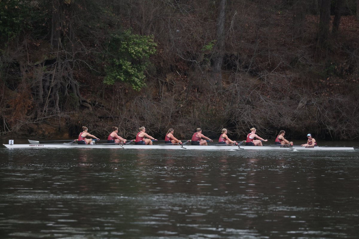Alabama Rowing tweet media