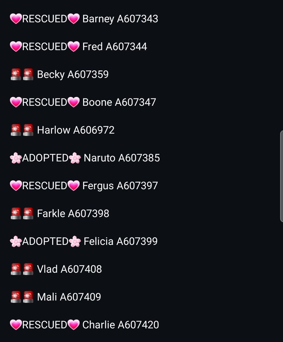 2/4 #StanislausCounty #StanCounty #ModestoCA #LosAngeles #LA #California #CA #SoCal #NorCal #pnw #dogrescue #shelterdogs #adoptable #adoptadog #fosteradog #fosterneeded
#PLEDGE
#FOSTER @ NO COST for a #Rescue‼
#ADOPT anywhere 🇺🇲‼
Please offer
HERE
👇👇👇
instagram.com/p/DVgcvK4lbKM/…