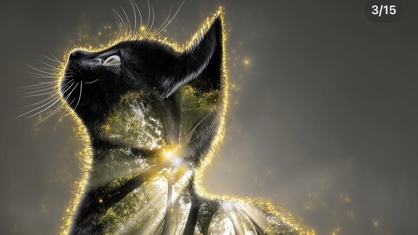 🪞 Parrot in Human Suit tweet media