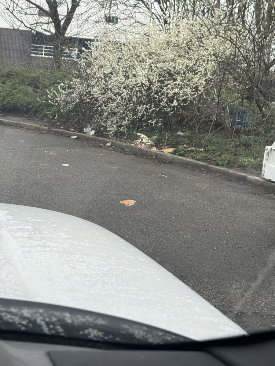 heathere tweet media