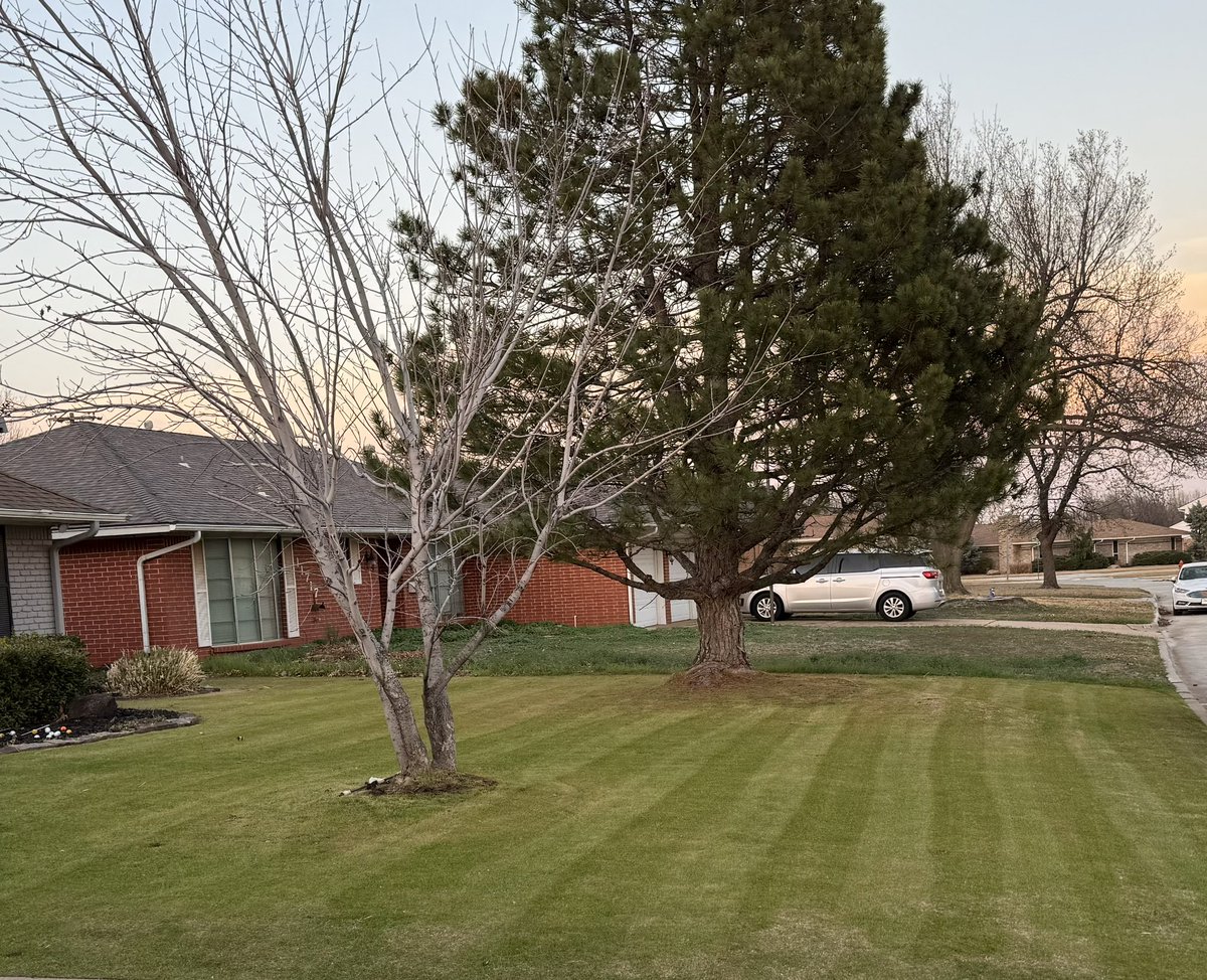 Jason Freeman tweet media