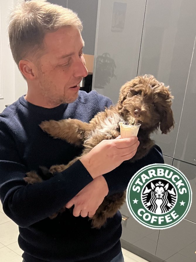 Mike Shoreman tweet media