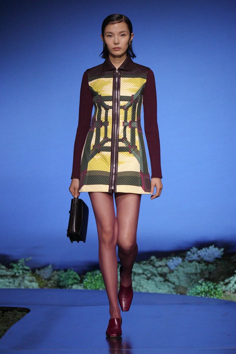 Dandy 🤍 tweet media