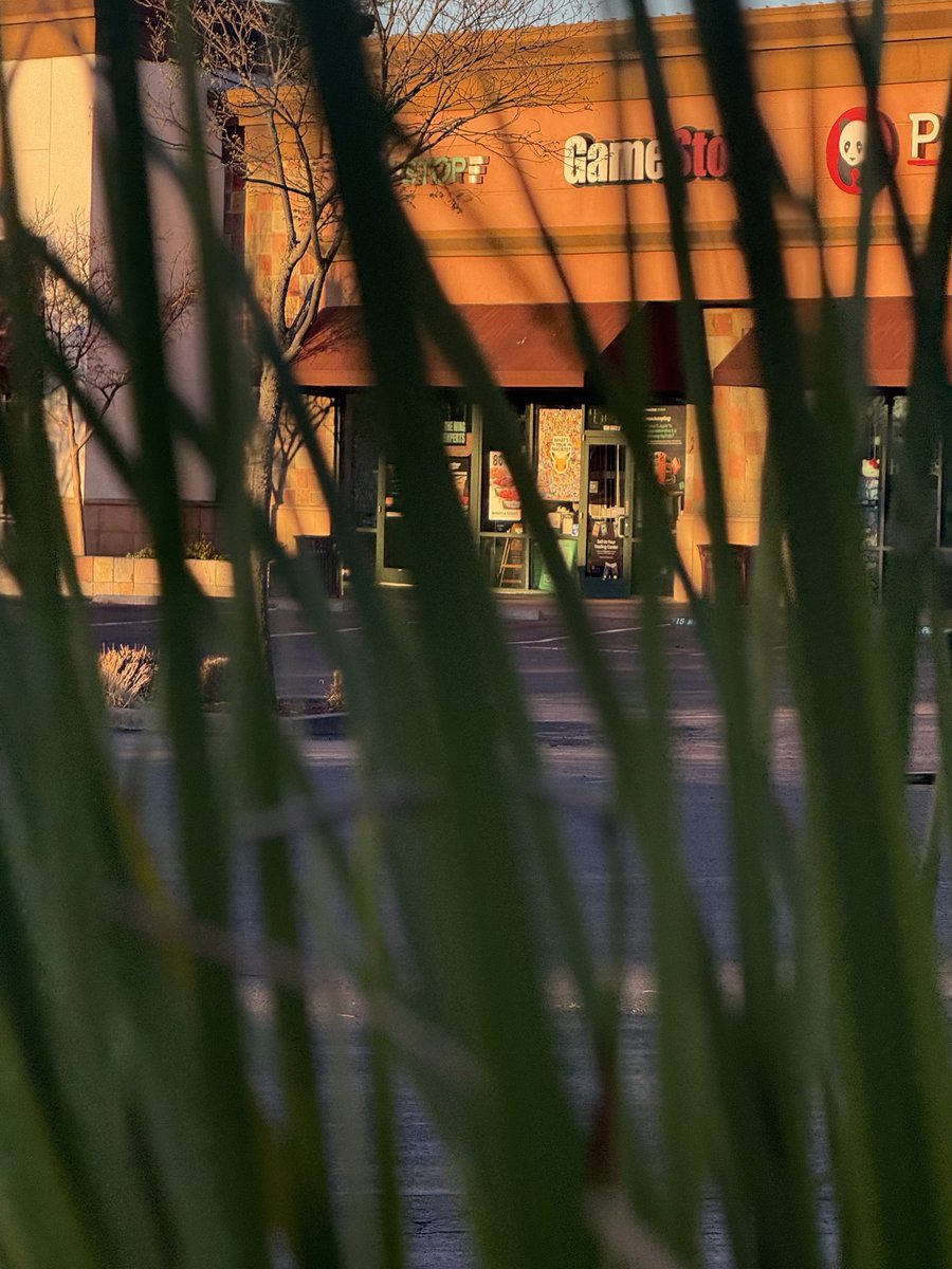 Fitzzzy 🏴‍☠️ tweet media