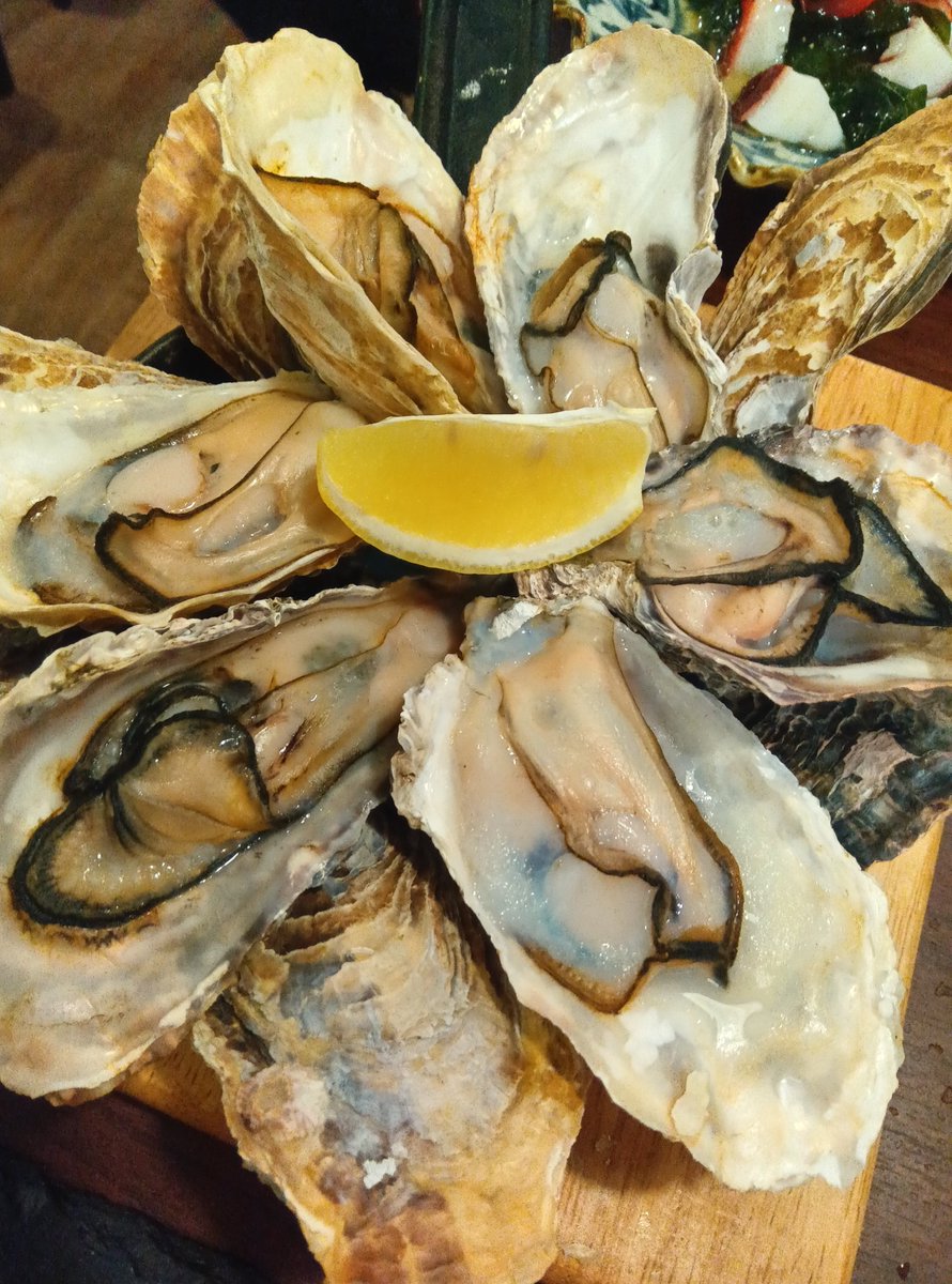 めぐこ tweet media