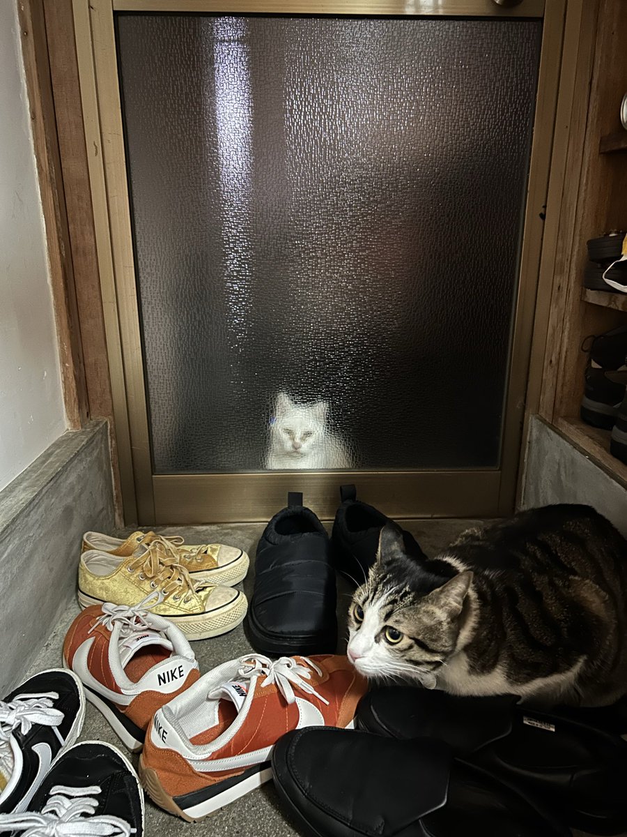 あしたのアチョー tweet media