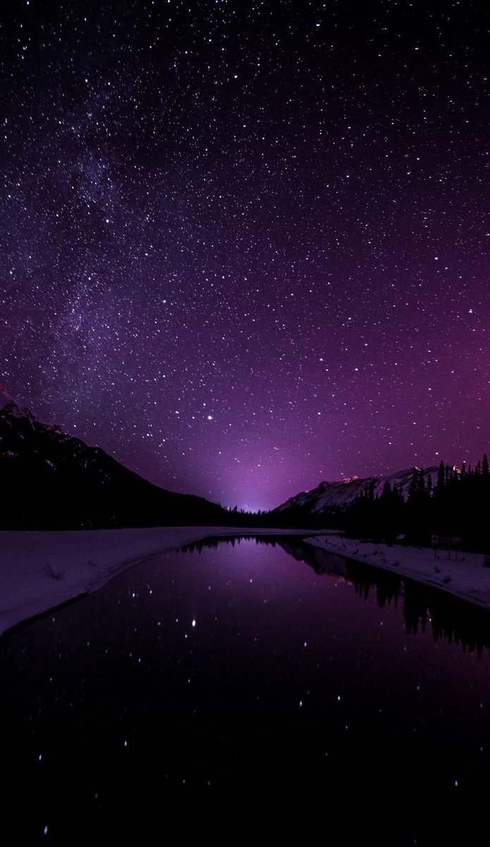 Aesthetics (@aestheticspost_) on Twitter photo 