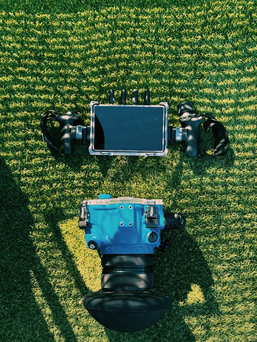 ryan struck tweet media