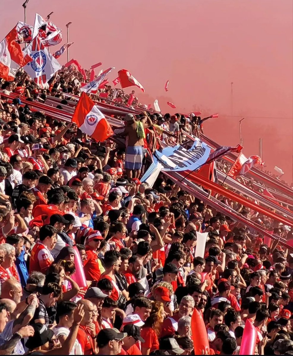 Momentos del bicho tweet media