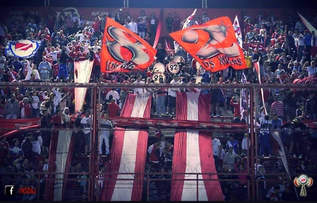 Momentos del bicho tweet media