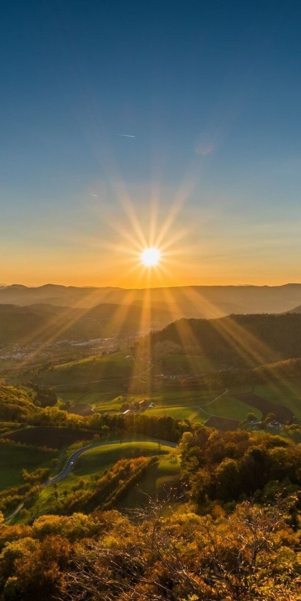 LeddyLLC's tweet photo. High cortisol = stubborn belly fat, poor sleep, and low testosterone.

Most people stay trapped in this state for years without realizing it.

Here are 8 ways to lower your cortisol levels (save for when you need it)🧵

1. Morning sunlight https://t.co/FrfsItRZkW