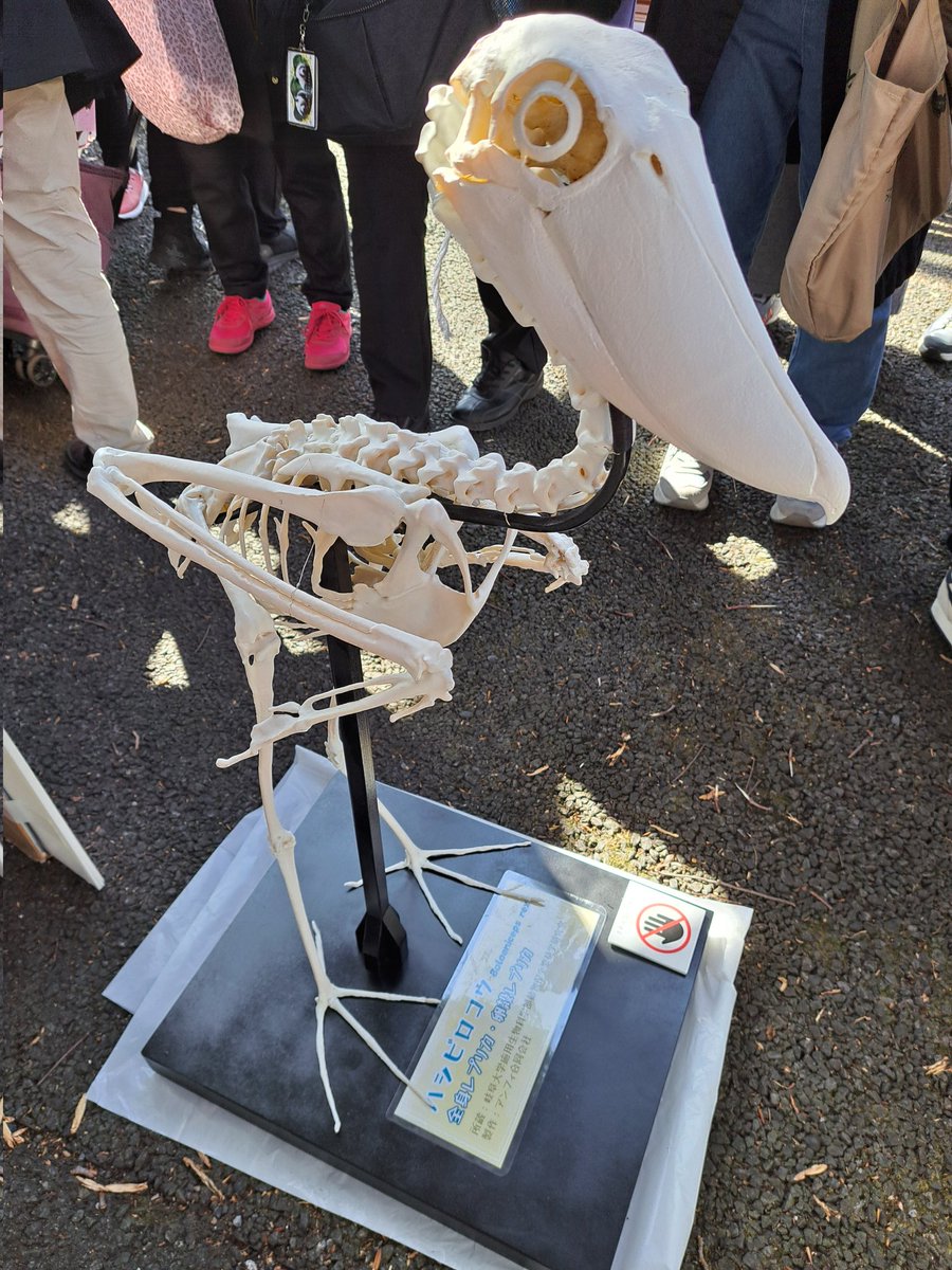 世界野生生物の日のイベントを聴いてきましたテーマはハシビロコウ岐阜