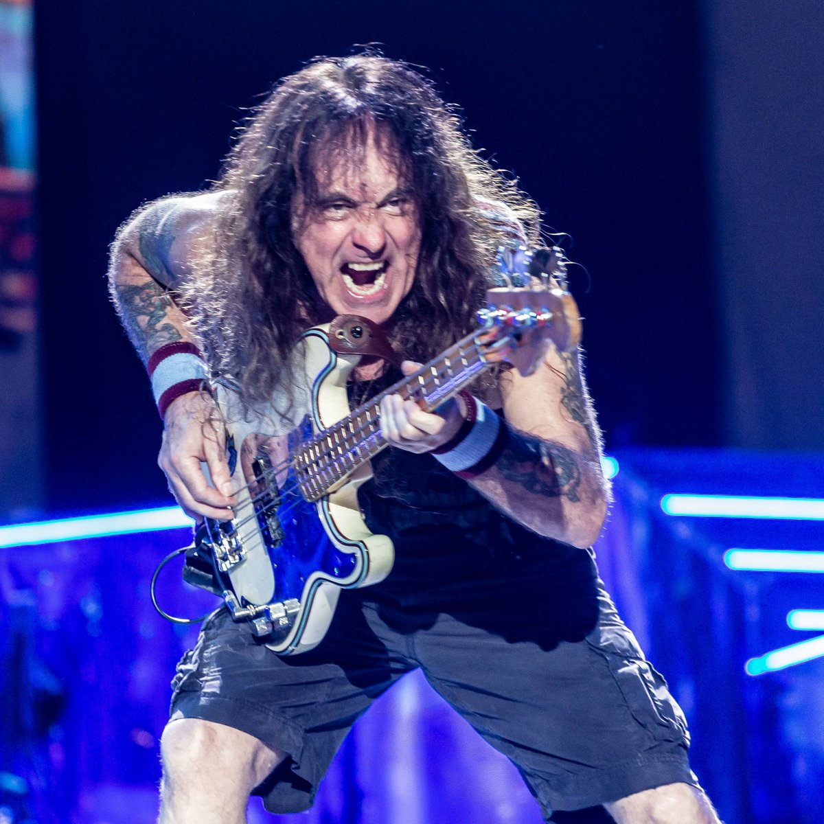 Igor Miranda tweet media