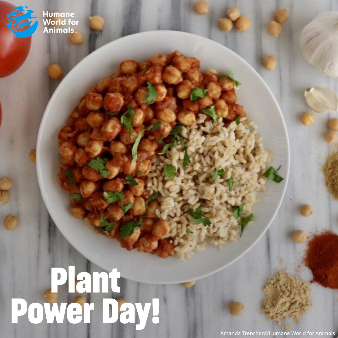 Humane World Farm Animals tweet media