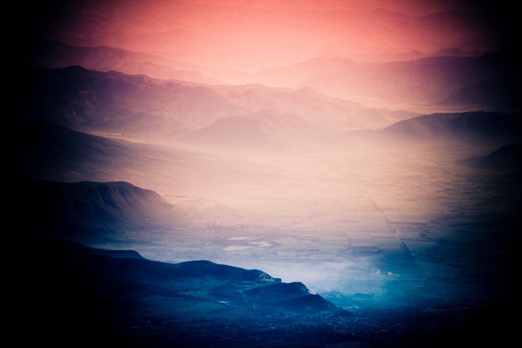 Iram Ortega 👁 tweet media