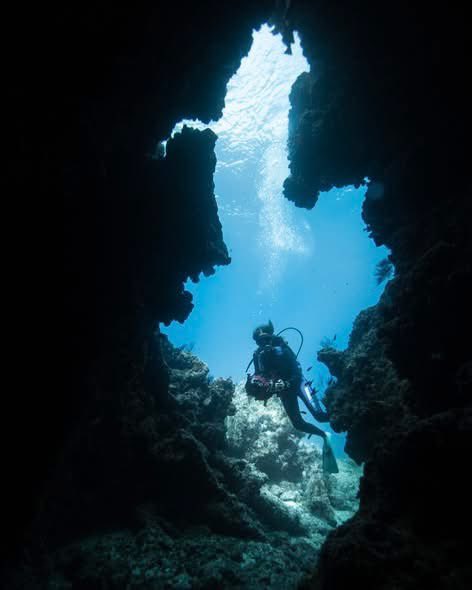 Secretaría de Turismo y Economía de BCS tweet media