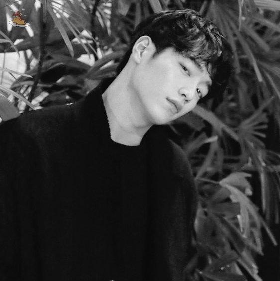 SOC-IE 💛 ˚☽˚.⋆ tweet media