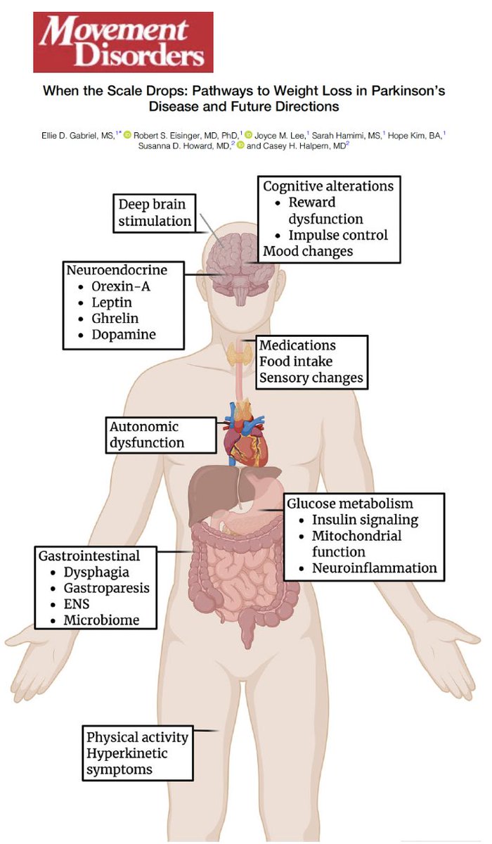 Michael Okun tweet media