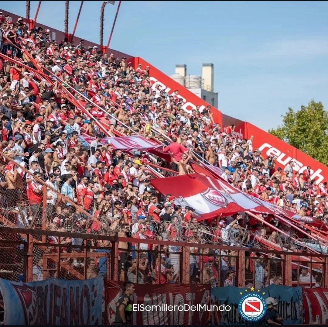 Momentos del bicho tweet media