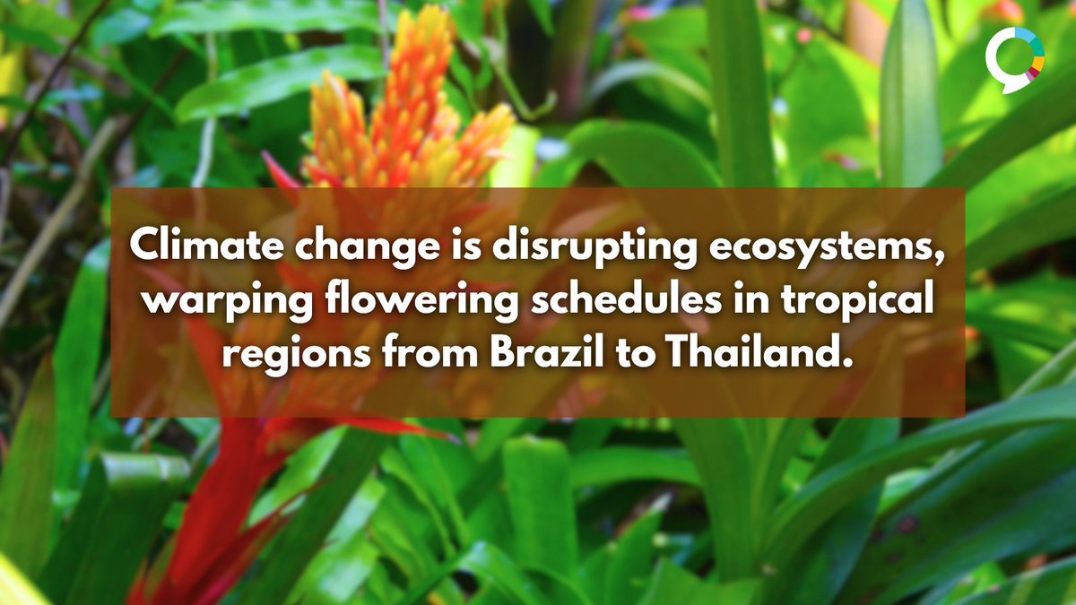 Yale Program on Climate Change Communication tweet media