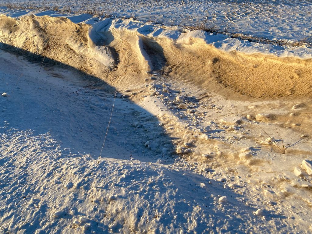 Star of the West tweet media