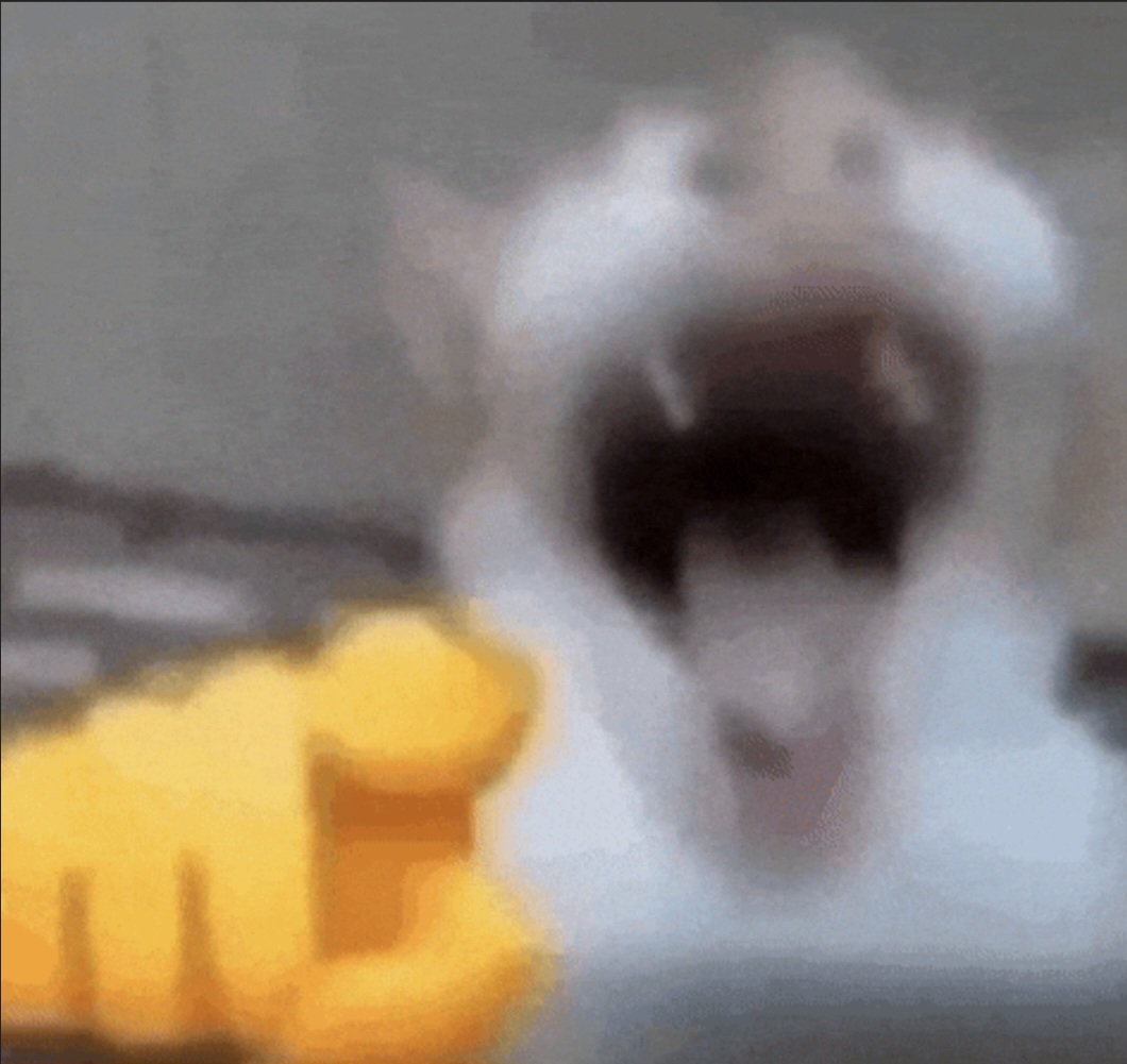 Human 🦋 tweet media