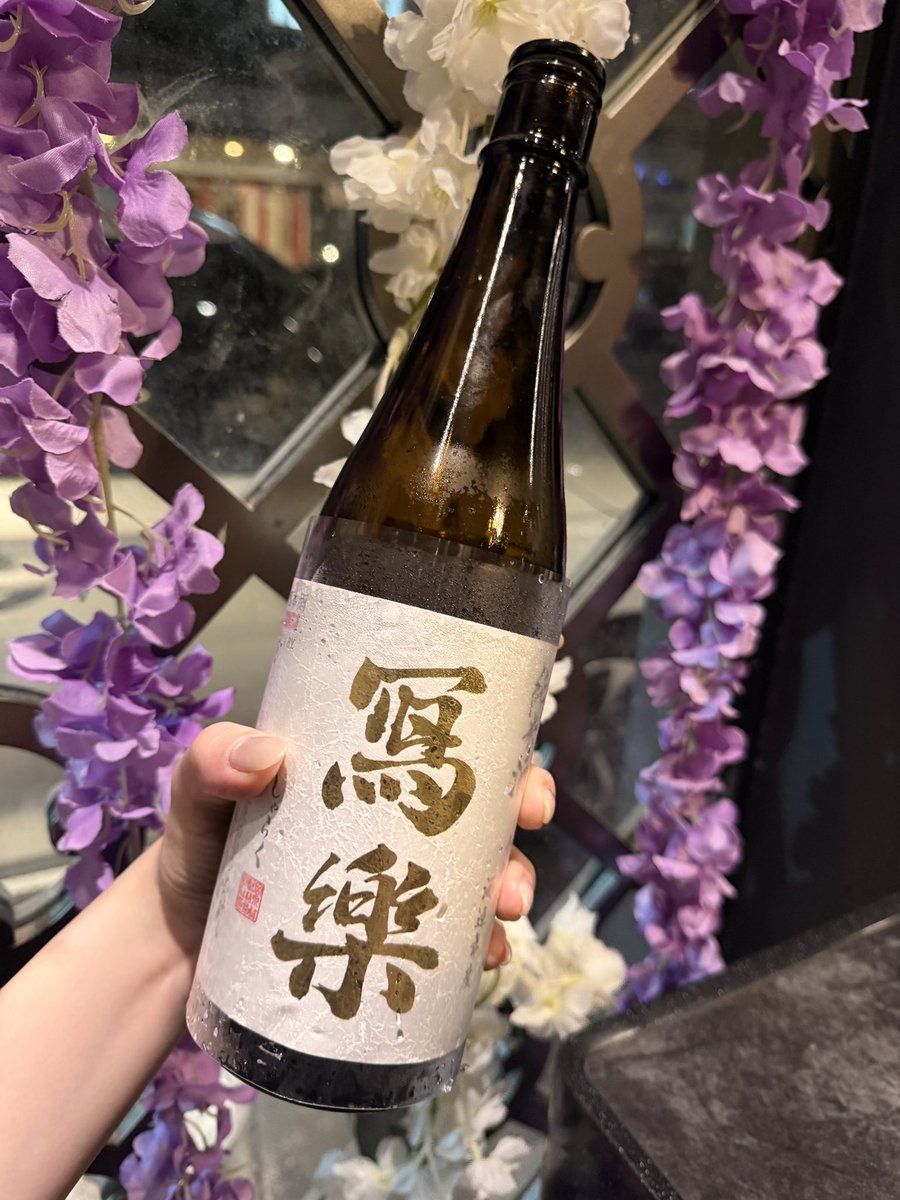 璐璐比耶薩 tweet media