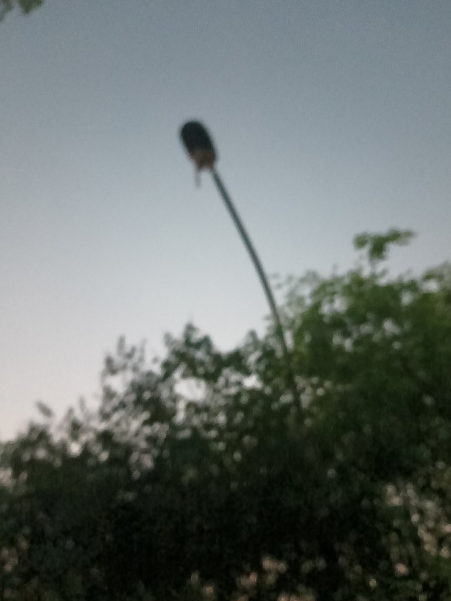 Avinash Bengaluru tweet media