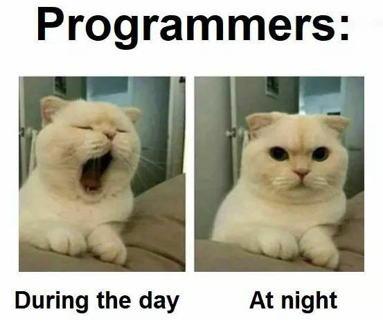 Lingo.dev tweet media