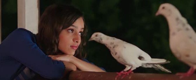 ‏صـــــد𝓈𝒶𝒹𝒶𝒻𝓈𝒽𝑒𝓇𝒾𝒻𝒻فـــ‏‏ tweet media