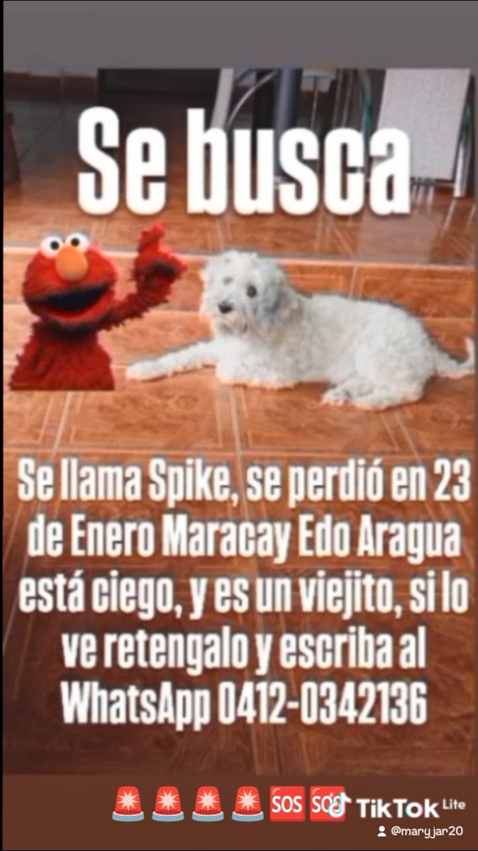 RP <a href="/Mary_Jar/">Mary X 🩵🐕🐈</a>: Atención! #Maracay Edo. Aragua. 🚨🚨🚨

Por favor si lo ven, se agradece resguardo. P