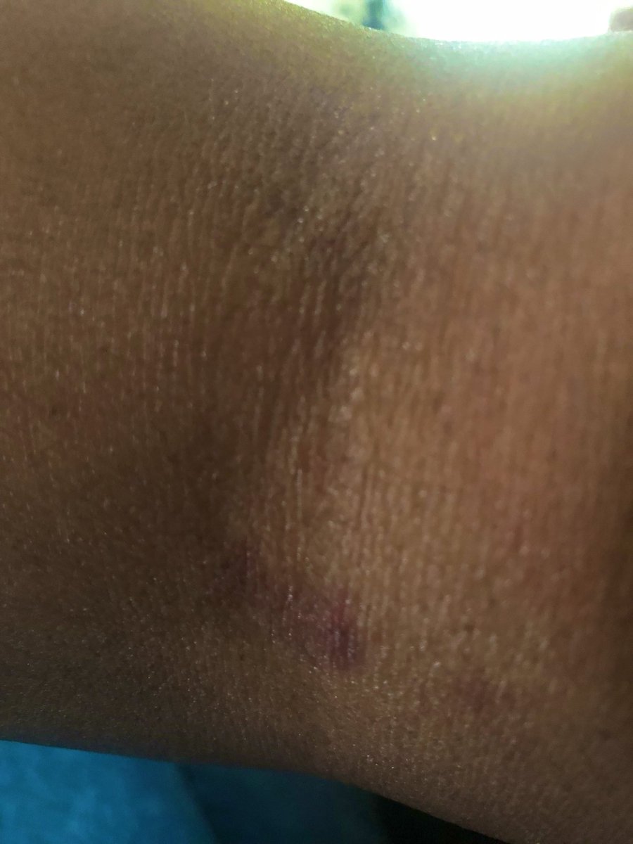 Dionne Walker tweet media