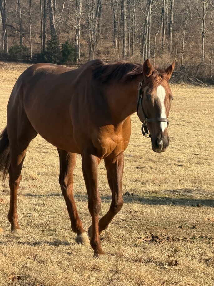 MichelePesulaKuegler tweet media