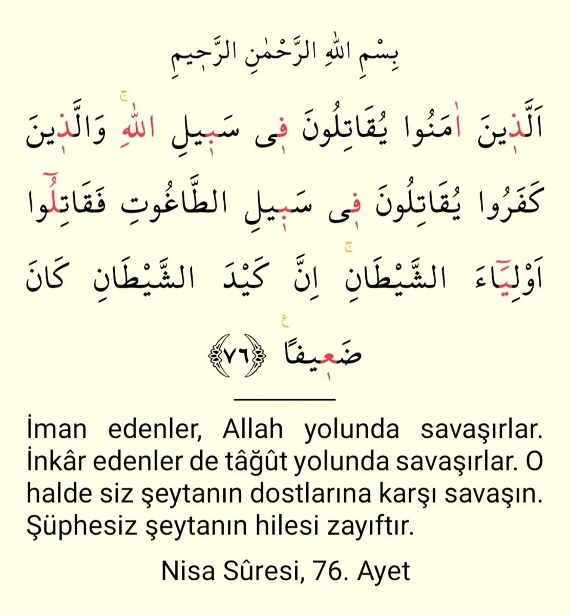 Serdar Mercan tweet media
