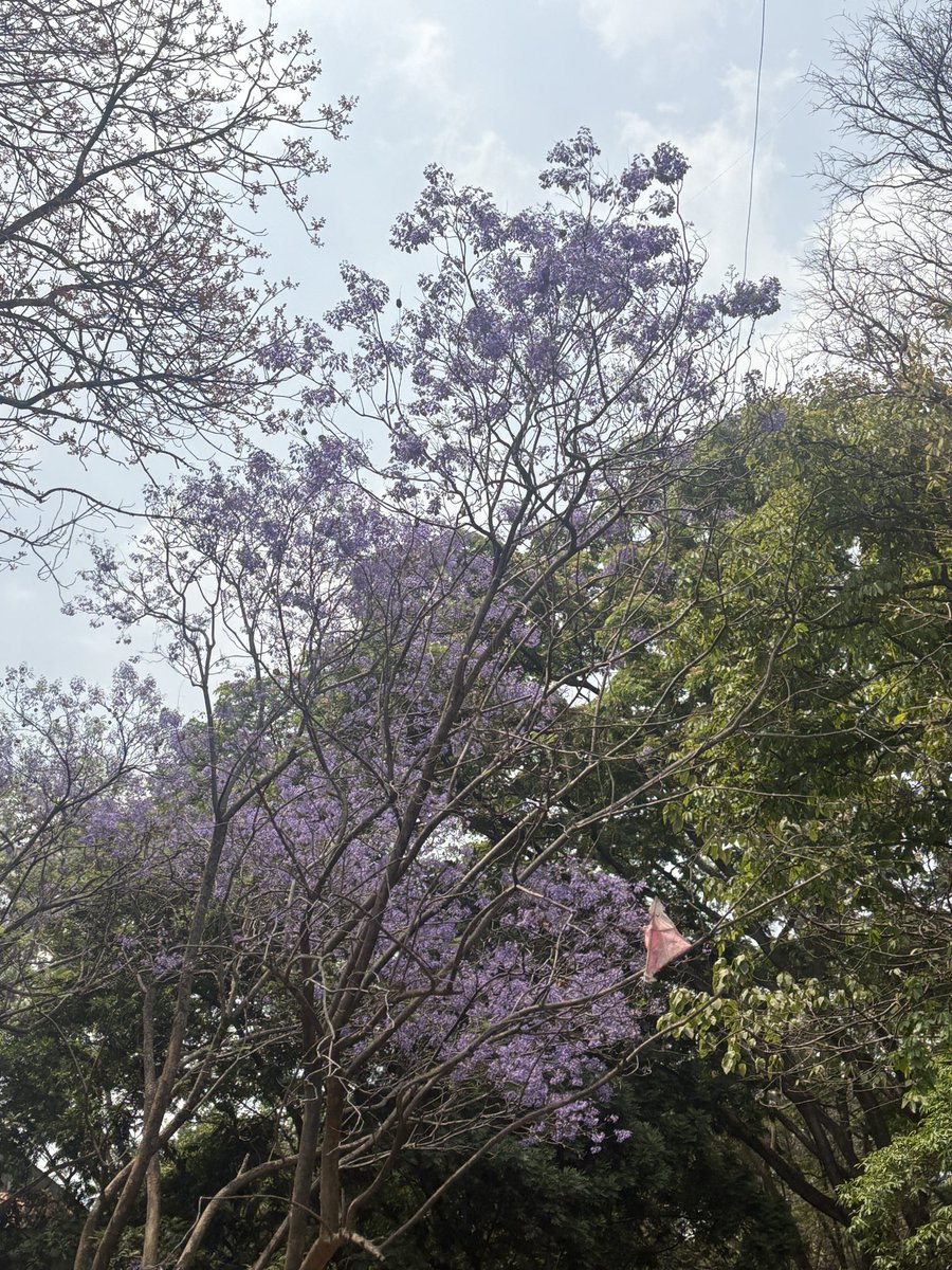 ChinmayKak's tweet photo. Cool things at IISc today. Openday can’t be the day to show advanced research tbh or judge the insti, since the people have to cater to school kids and non technical audience alike, and thus quite some cutting edge research has to be dumbed down/not shown. https://t.co/EGYFj1lk0y
